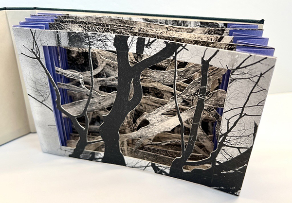 Tunnel Books Workshop, Denver store only, Saturday, November 15, 11:30am-1pm, FREE TO ATTEND! LIMITED SEATING! Tunnel Books Workshop, Denver store only, Saturday, November 15, 11:30am-1pm, FREE!